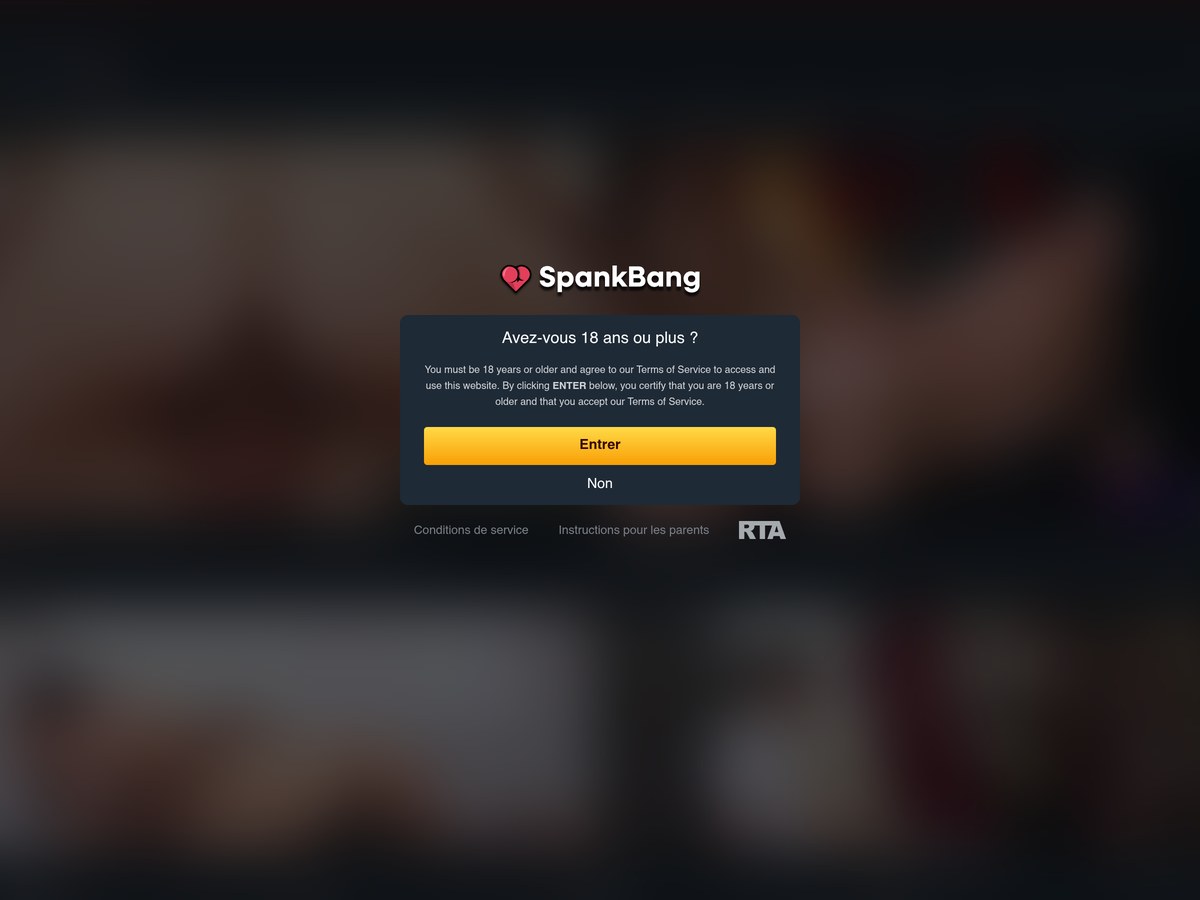 La porte 18+ de fr.spankbang.com, question en français et bouton Entrer